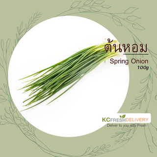 ต้นหอม Spring Onion 100g