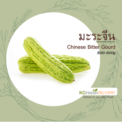 มะระจีน Chinese Bitter Gourd