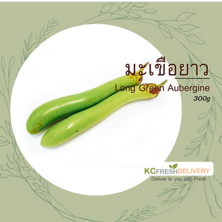มะเขือยาว Long Green Aubergine (kg)