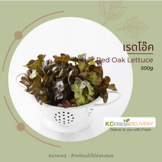 เรดโอ๊ค Red Oak Lettuce 500g