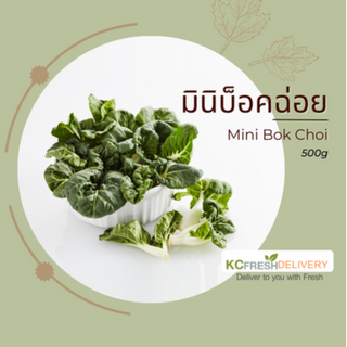 มินิบ็อคฉ่อย Mini Bok Choi 500g
