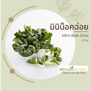 รายการสินค้ากลุ่มผักปลอดภัยจากสารพิษ Safety Fresh Vegetables list