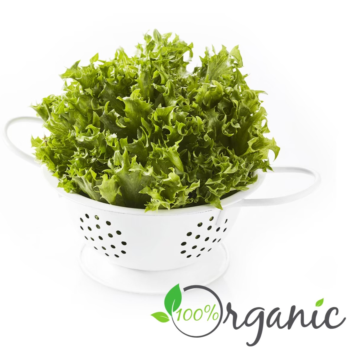ฟิลเลย์ ไอซ์เบิร์ก Frillice Iceberg Lettuce 500g