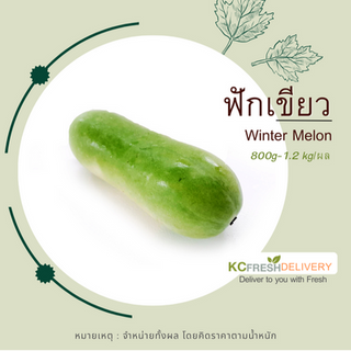 ฟักเขียว Winter Melon