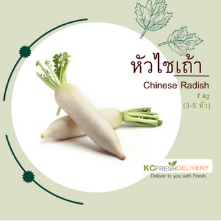 หัวไชเท้า Chinese Radish
