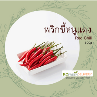 พริกขี้หนูแดง Red chili 100g