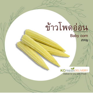 ข้าวโพดอ่อน Baby corn 200g