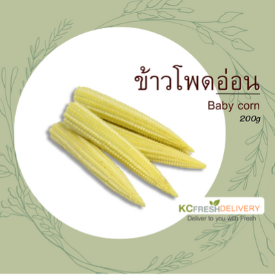 ข้าวโพดอ่อน Baby corn 200g