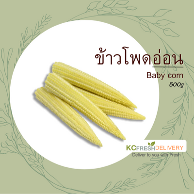 ข้าวโพดอ่อน Baby corn 500g