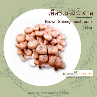 เห็ดชิเมจิสีน้ำตาล Brown Shimeji mushroom 120g