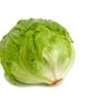 LECHUGA ICEBERG UD