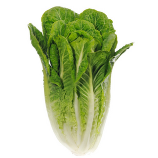 LECHUGA ROMANA UD