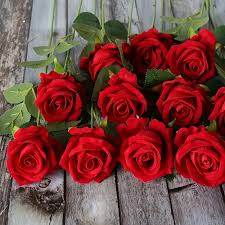 Red Roses