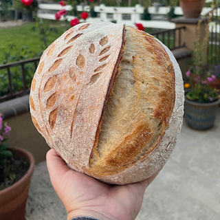 Gouda, Garlic Chives Sourdough Loaf (900g) 