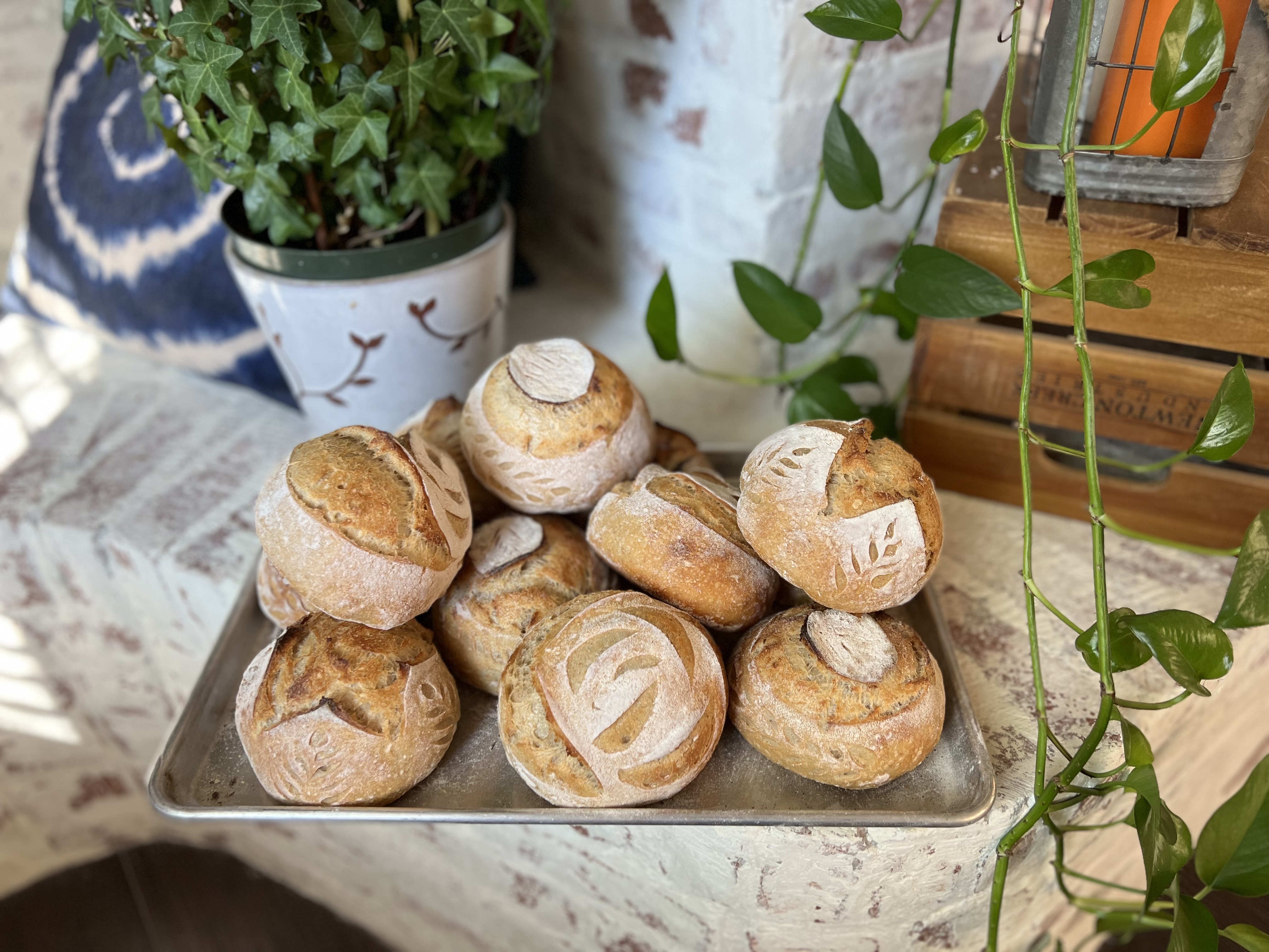 Sourdough Bread Bowls (300g) Main Image