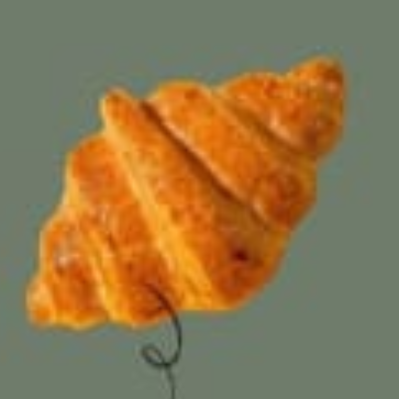 Croissant Plan Main Image