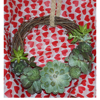 Round Living Succulent Wreath