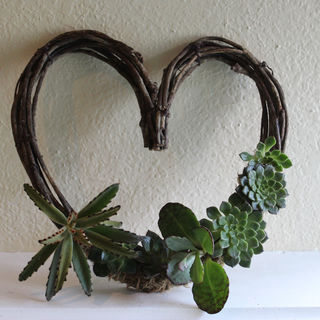 Heart-Shaped living Succulent Wreath