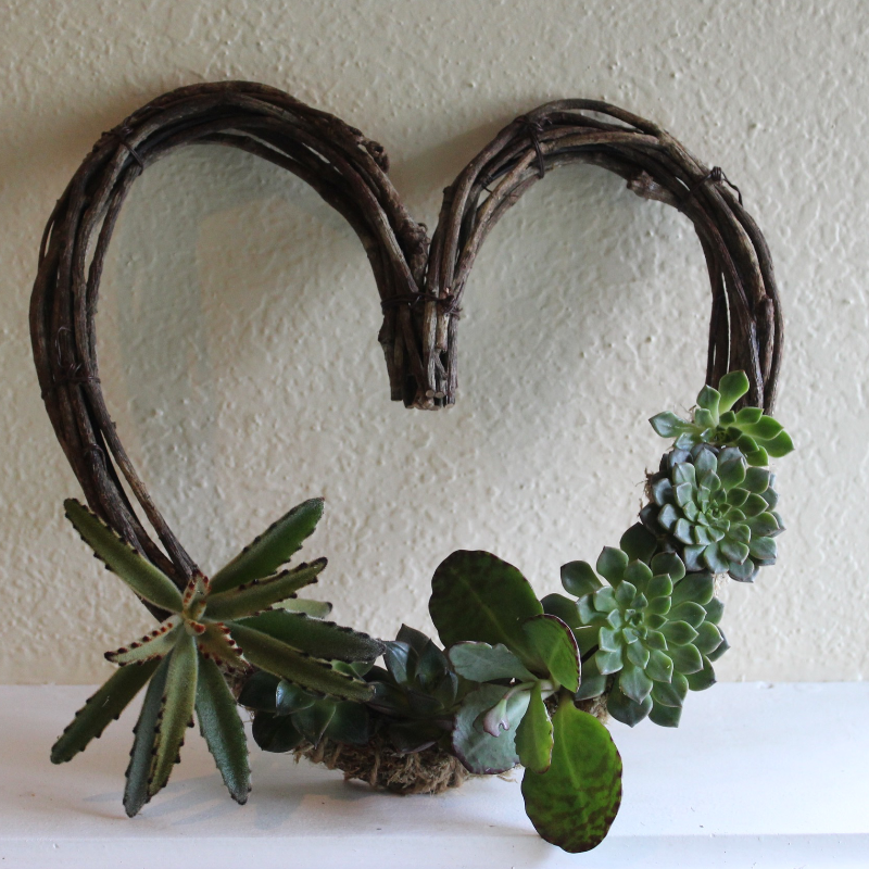 Heart-Shaped living Succulent Wreath Main Image