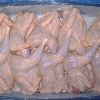 Whole hen bulk