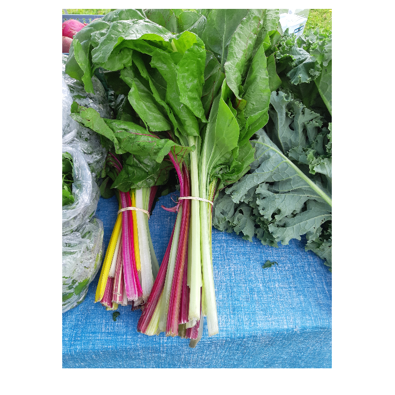 Rainbow Chard Main Image