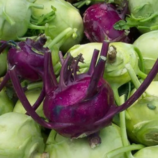 Kohlrabi