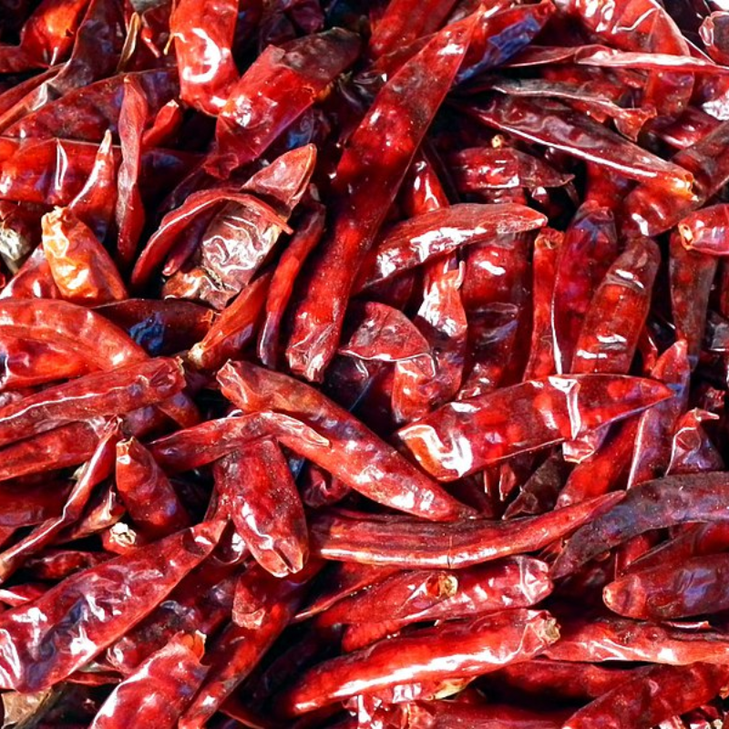 Guntur long red chIllIes (100 gms) Main Image