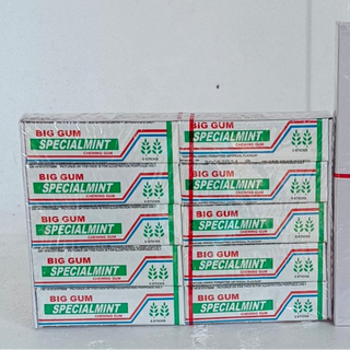 BIG GUM SPECIAL MINT 20 PCS