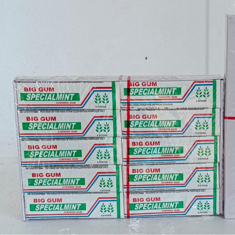 BIG GUM SPECIAL MINT 20 PCS Main Image