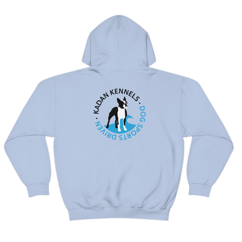 Light Blue Hoodie Main Image