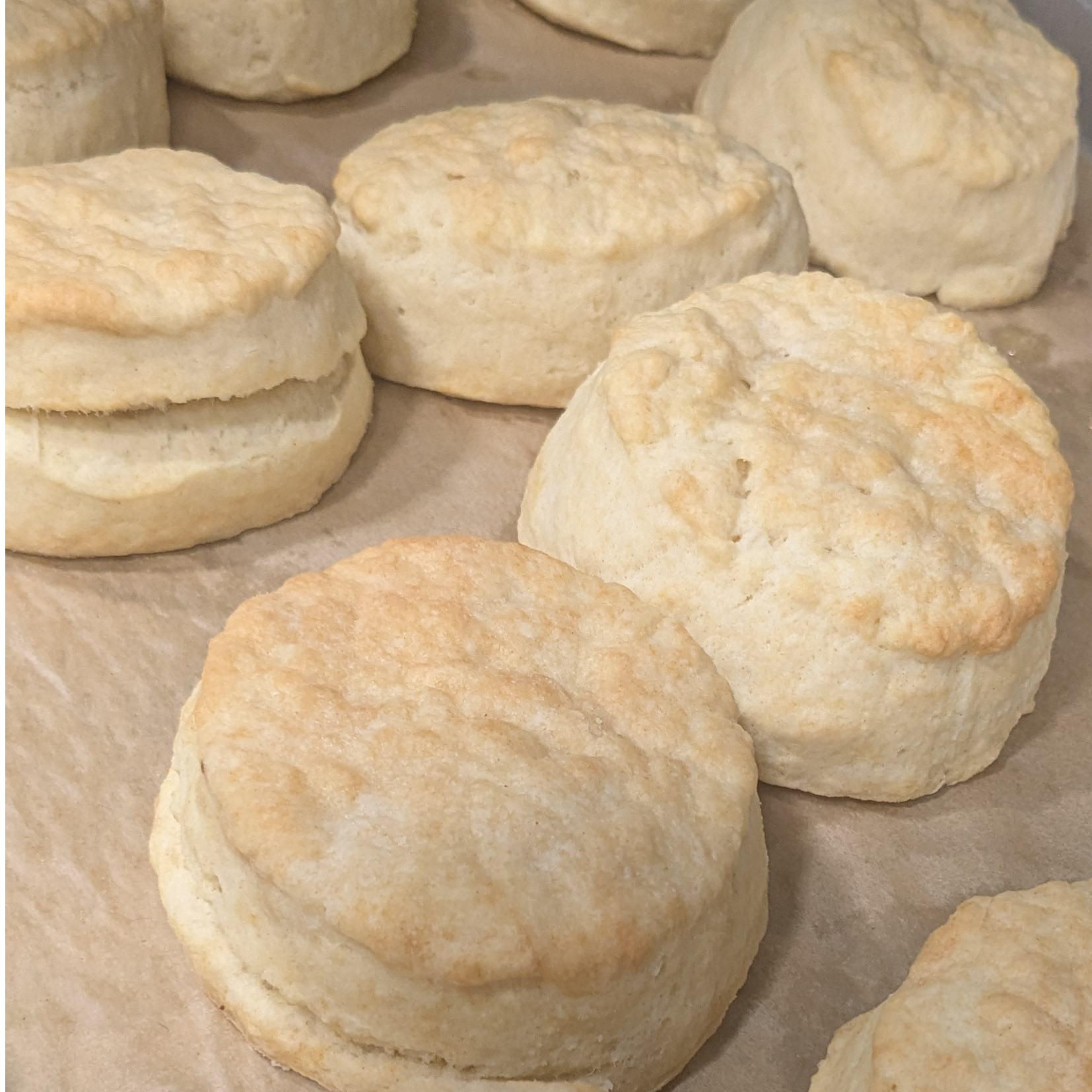 Fresh Baked Biscuits (Dozen)
