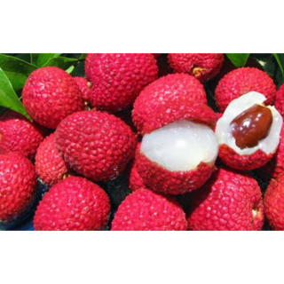 Good Life Splash Whey Based Drink Lychee