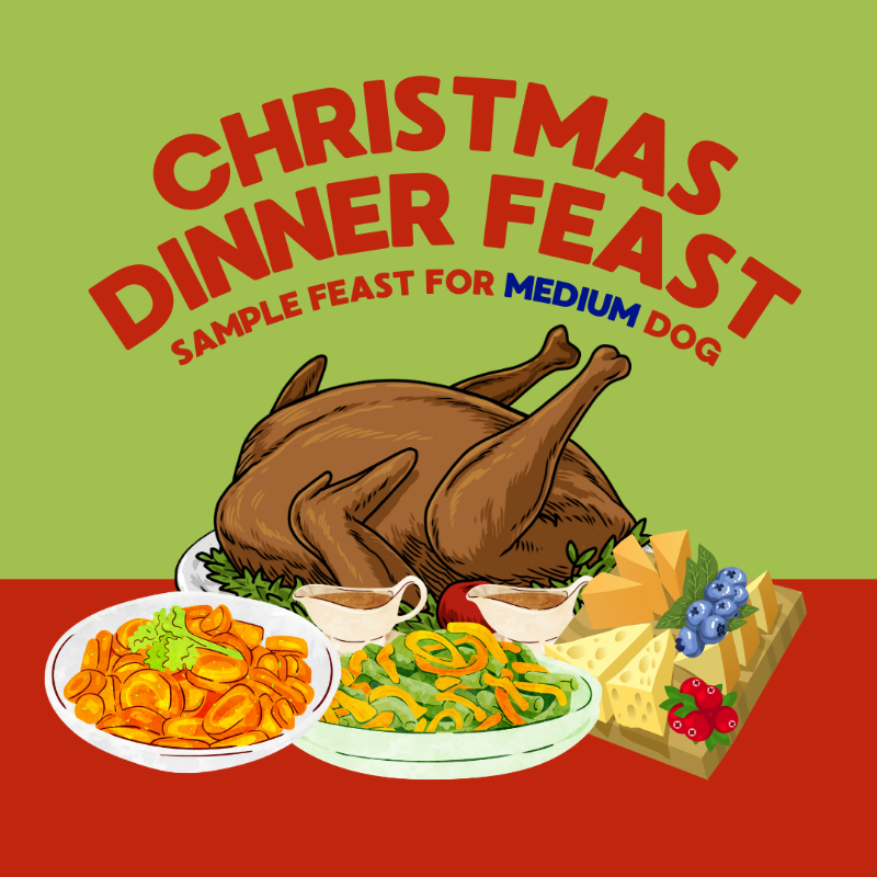 Sample Holiday Feast (Medium Dog)