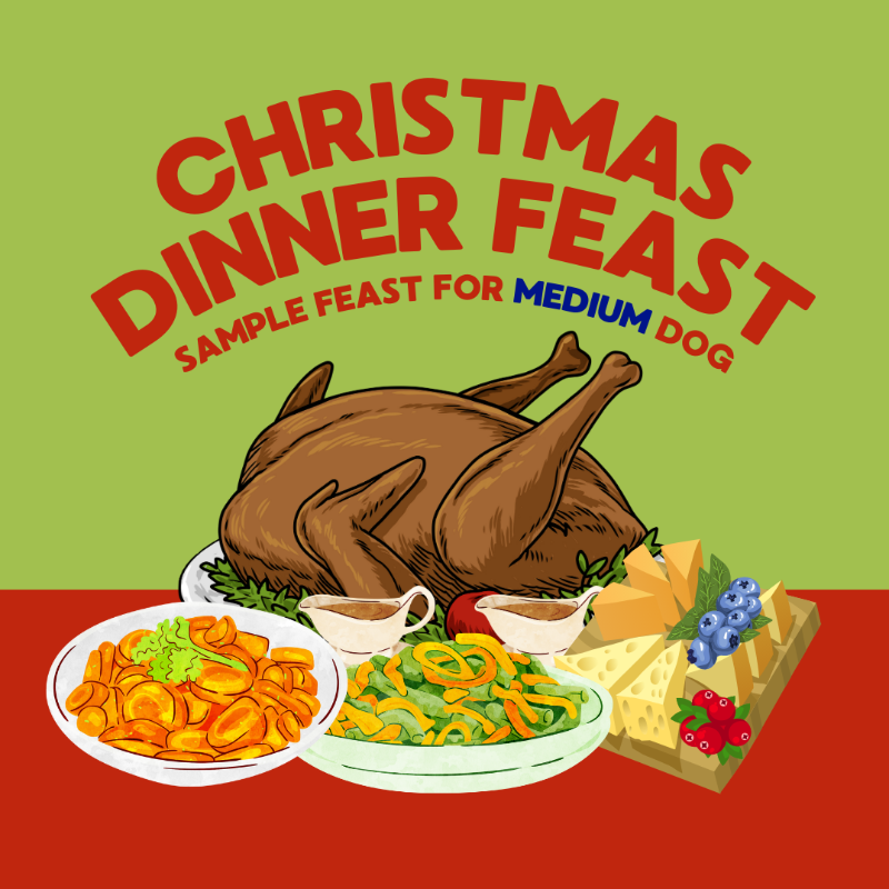 Sample Holiday Feast (Large Dog)