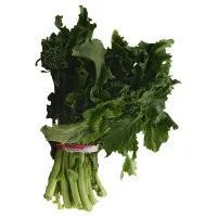 Broccoli Raab 