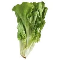 Escarole