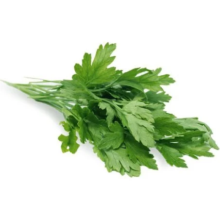 Parsley - Flat Leaf (50 Grams)