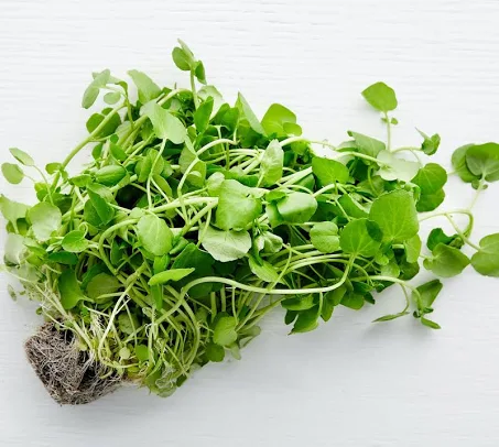 Watercress (50 Grams)