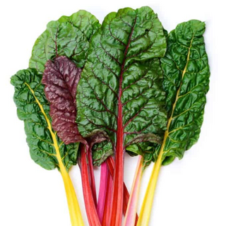 Chard Rainbow (10 Stems)