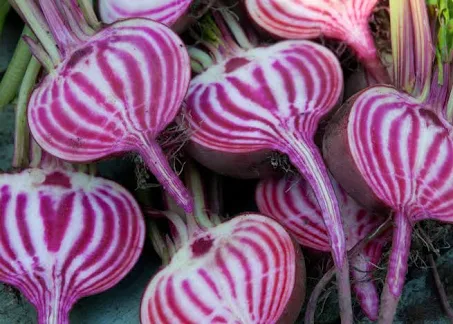 Beets (Spiral)