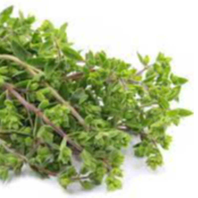 Marjoram (50 Grams) Main Image