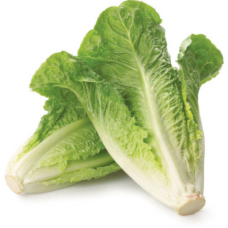 Romaine