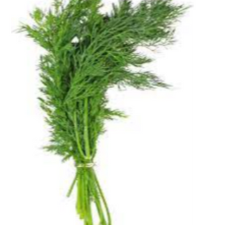 Dill (50 Grams)