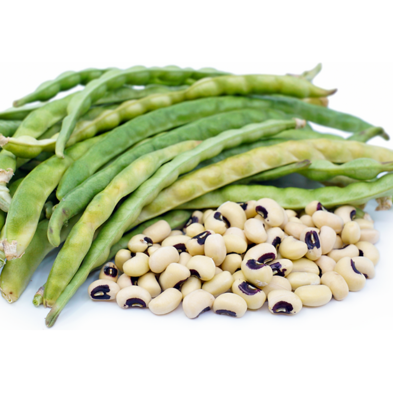 Black Eyed Peas Main Image