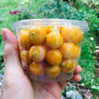 Uchuvas / Ground Cherry