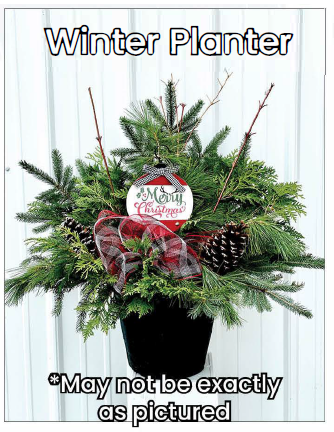 Winter Planter