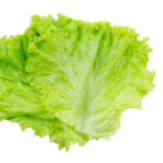 Lettuce