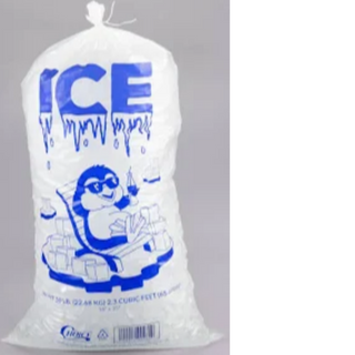 Bag of Ice Image