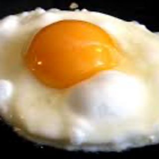 Egg