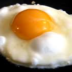 Egg Main Image